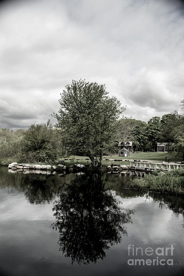 Grays Mill Pond Photograph by Angela DeFrias