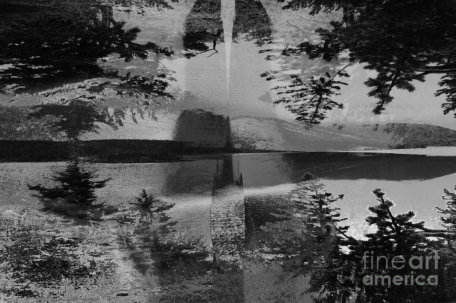 Grayscale Vision Trip Digital Art by Steven Murphy