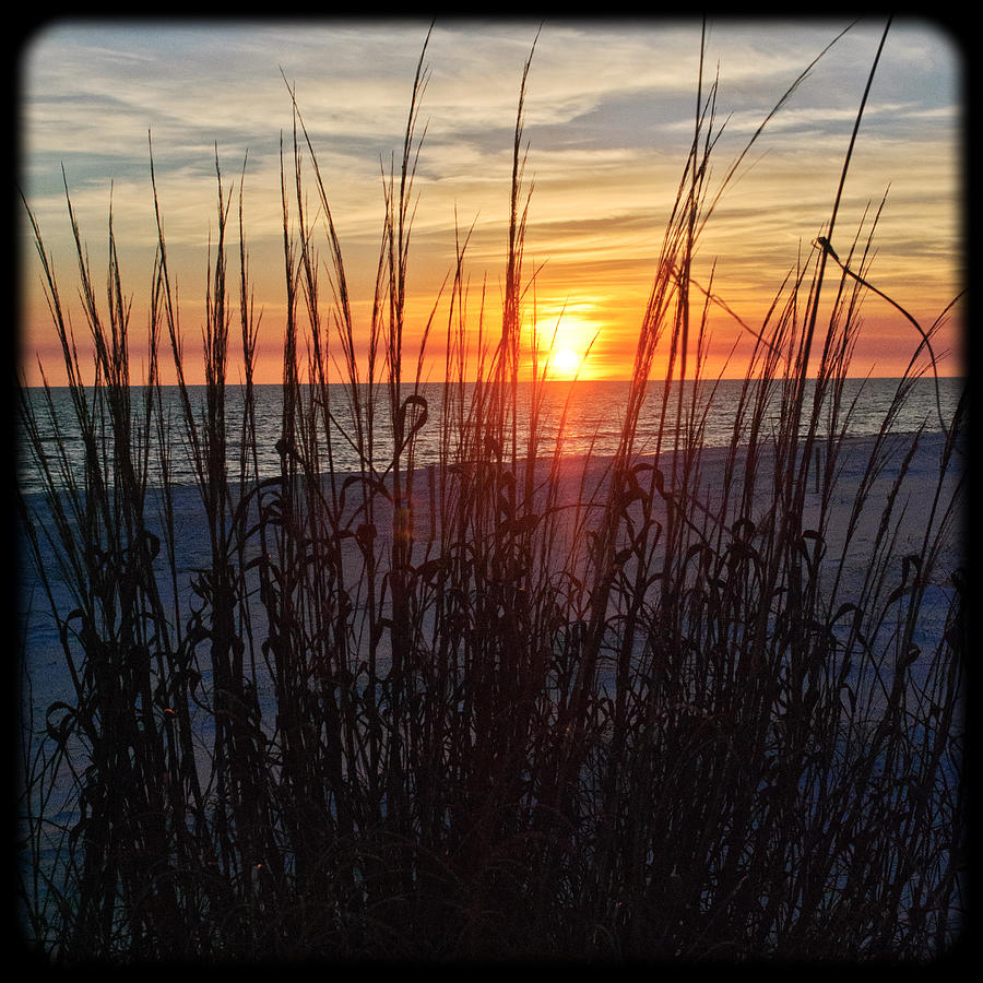 Grayton Beach Sunset 2 Photograph by George Taylor