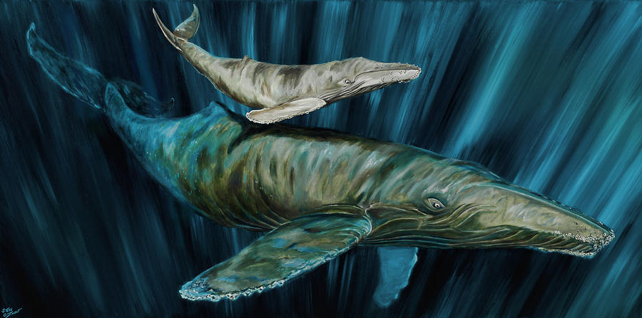 Graywhale Momma and calf Painting by Steve Ozment