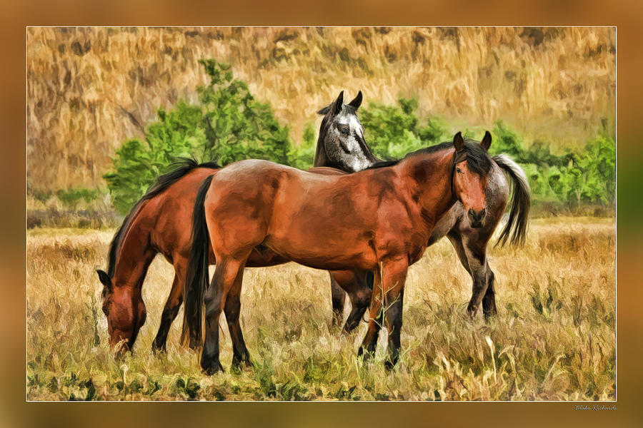 Grazing Horses Photograph by Blake Richards