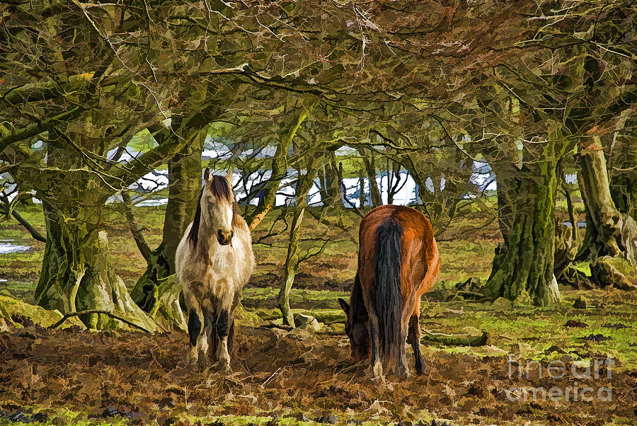 Horse Photograph - Grazing Horses by Steve Purnell
