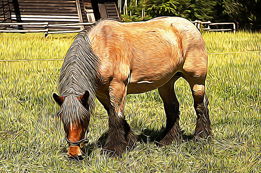 Horse Painting - Grazing by Studio Artist