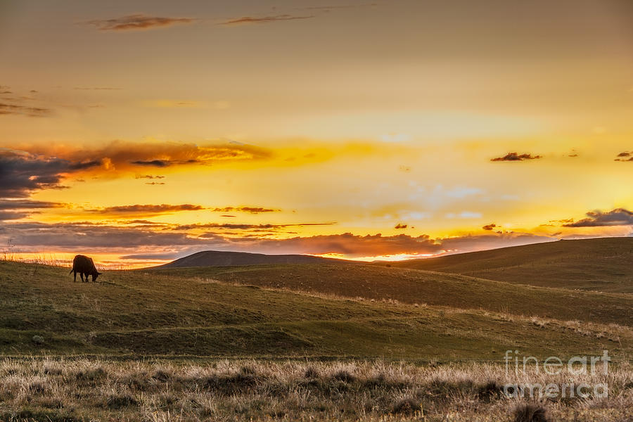 Mountain Photograph - Grazing Sunset by Robert Bales