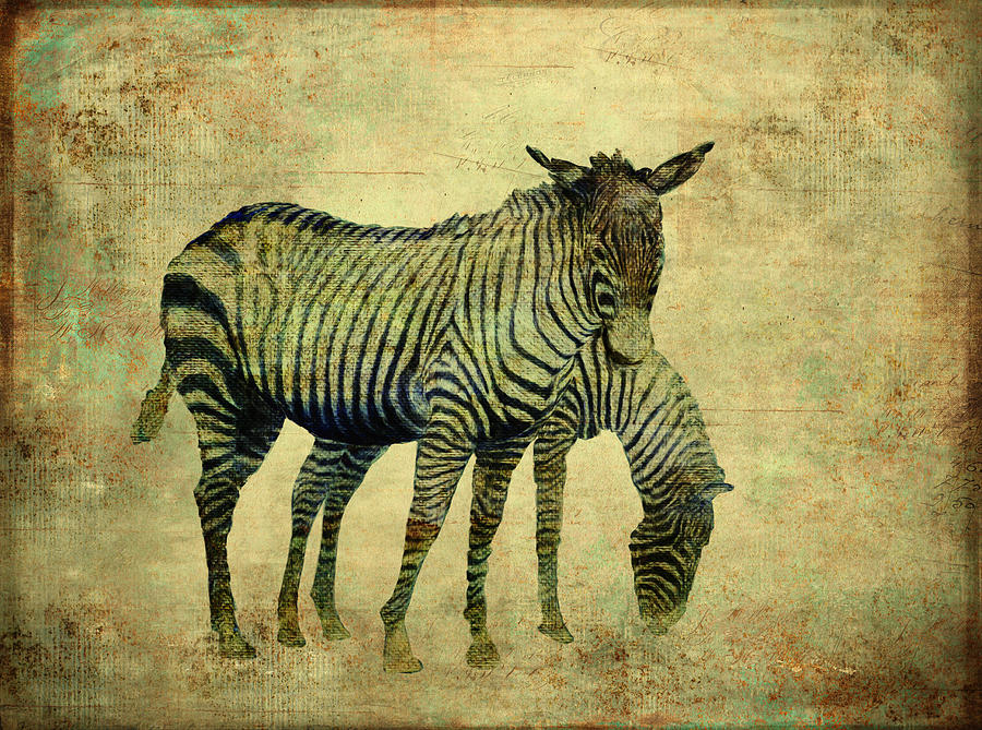 Grazing Zebras Digital Art by Sandra Selle Rodriguez