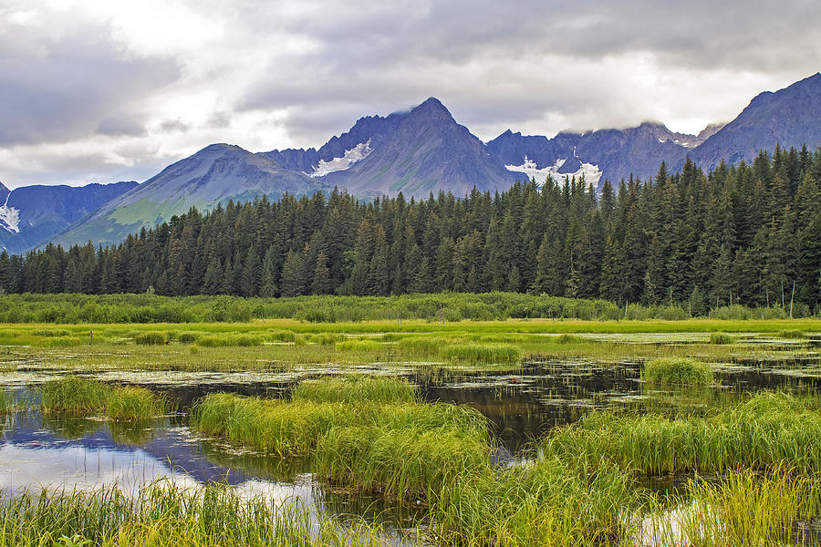 Great Alaskan Outdoors Photograph by Saya Studios
