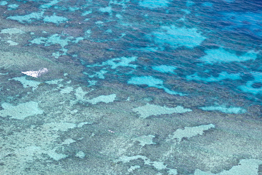 Great Barrier Reef From the Air Photograph by Debbie Cundy