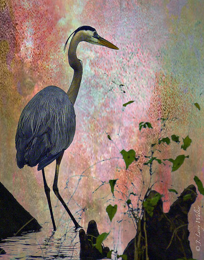 Great Blue Heron Among Cypress Knees Digital Art by J Larry Walker