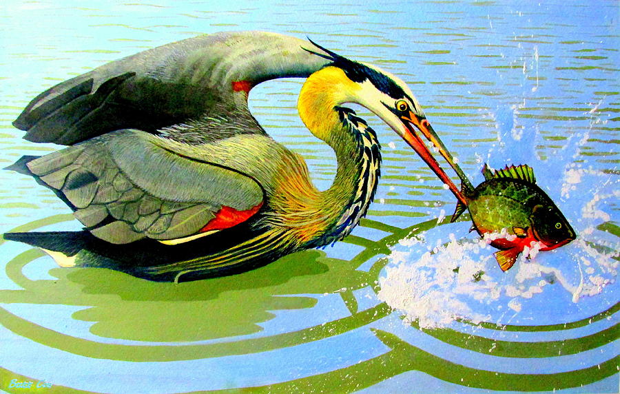 Great Blue Heron and Sunfish Painting by Buzz Coe