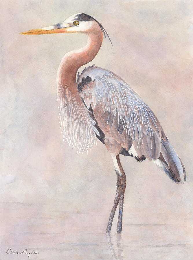 Great Blue Heron Painting by Carolyn English - Fine Art America