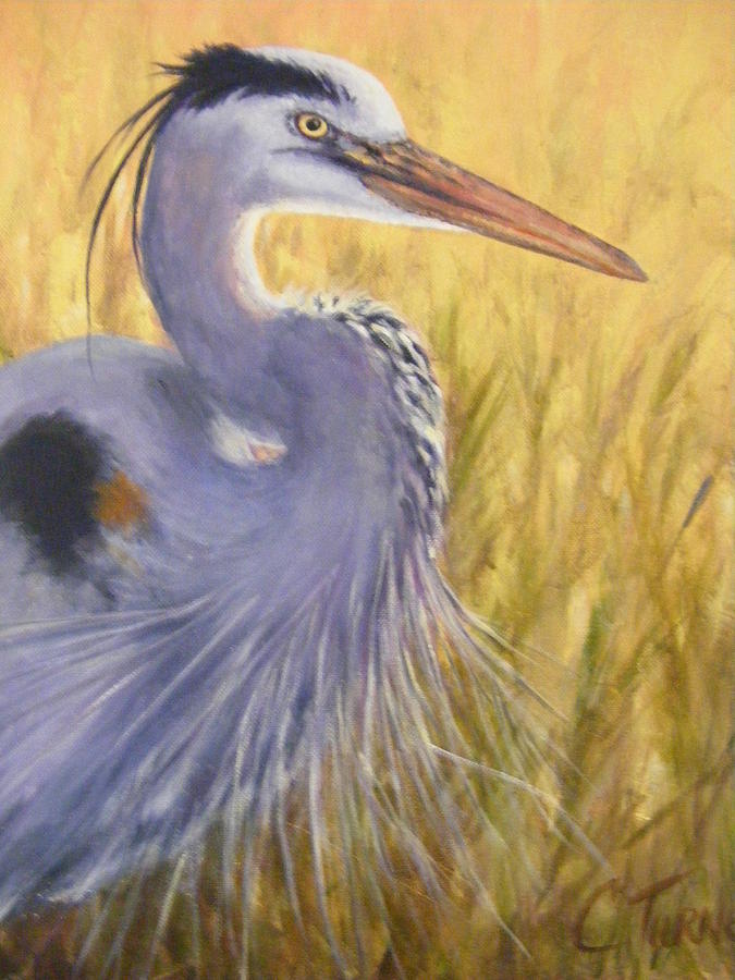 Great Blue Heron Painting by Cathy Turner - Fine Art America