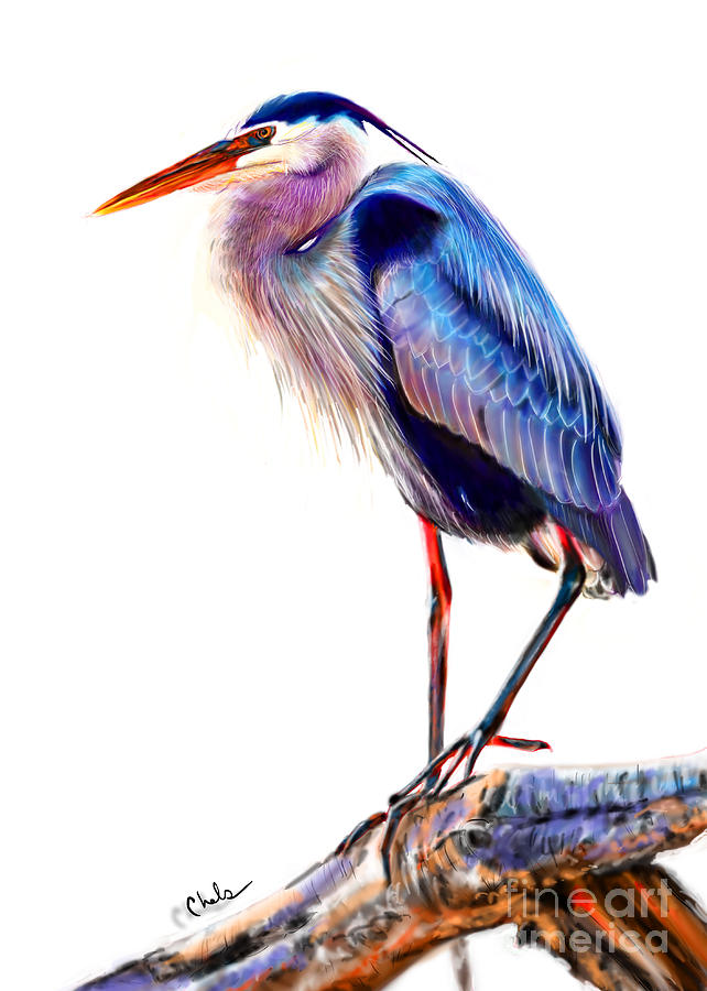 Bird Digital Art - Great Blue Heron by Chelsea Perez