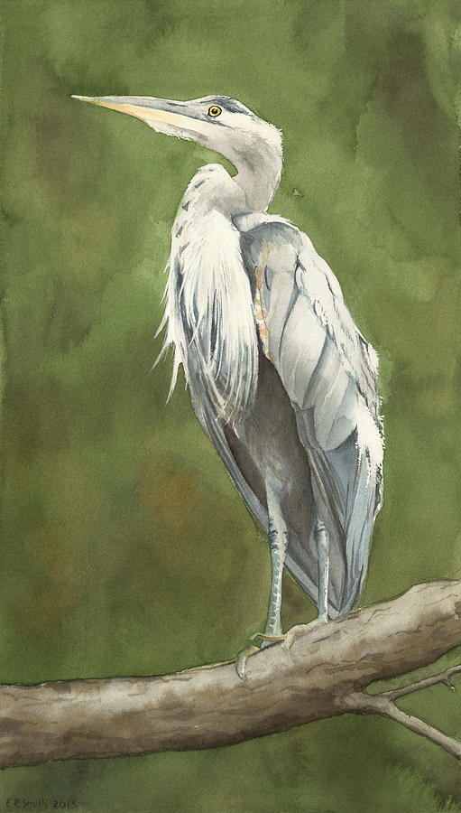 Heron Painting - Great Blue Heron by Elizabeth Smith