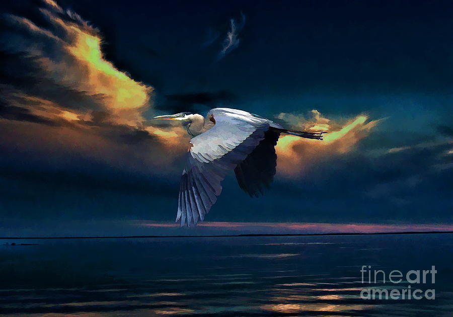 Great Blue Heron in Flight Photograph by Andrea Kollo