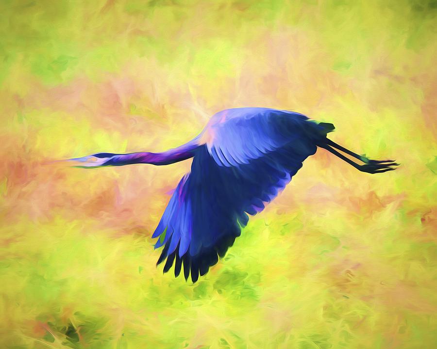 Great Blue Heron In Flight Art Mixed Media by Priya Ghose