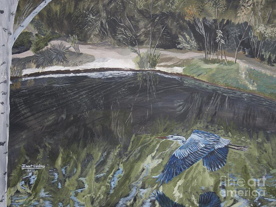 Great Blue Heron in Flight Painting by Ian Donley