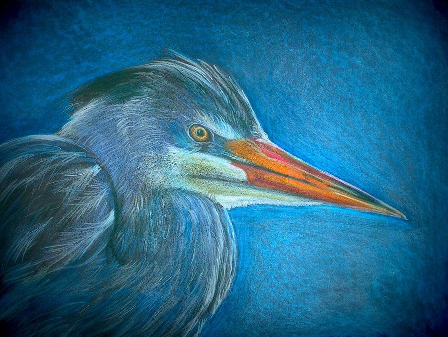Great Blue Heron Drawing by Linda Nielsen