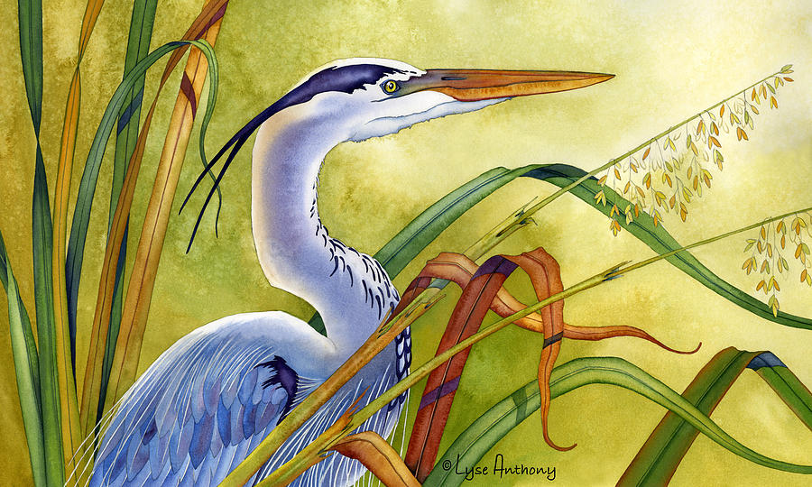 Bird Painting - Great Blue Heron by Lyse Anthony