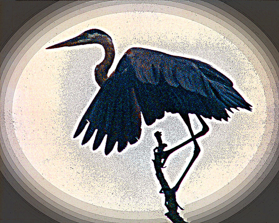 Great Blue Heron - posterized image Digital Art by R Thomas Brass