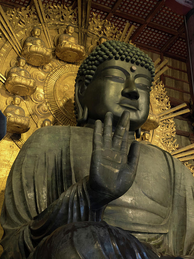 Great Buddha Statue In Todaiji Temple Photograph by Panoramic Images