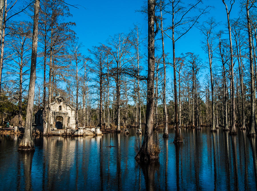 Great Cypress Swamp Photograph by Louis Dallara