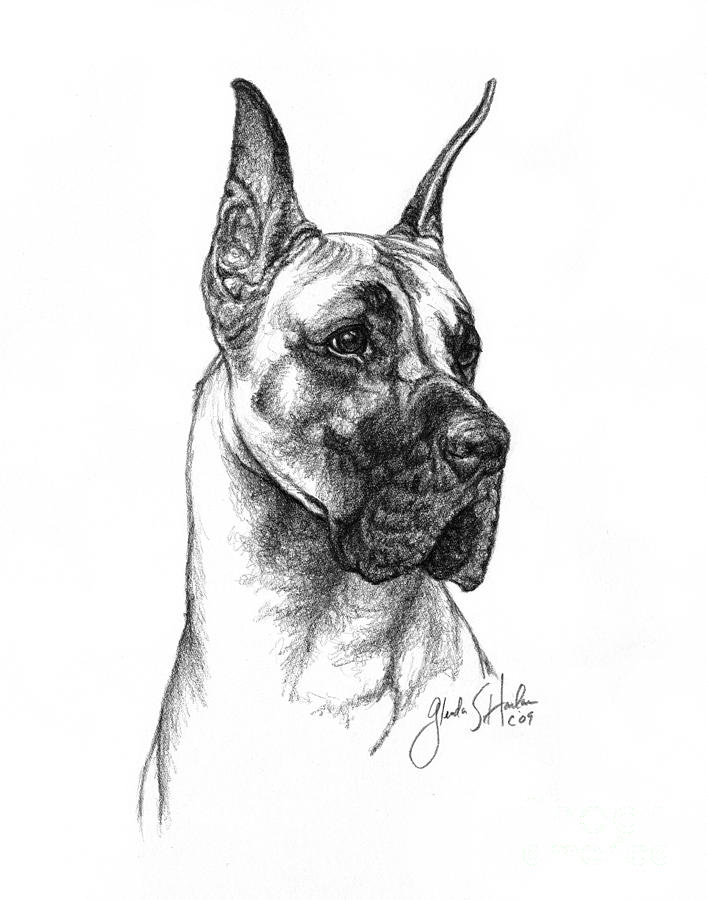 sketch of a great dane dog, an art print by Sukhendu Mondal - INPRNT