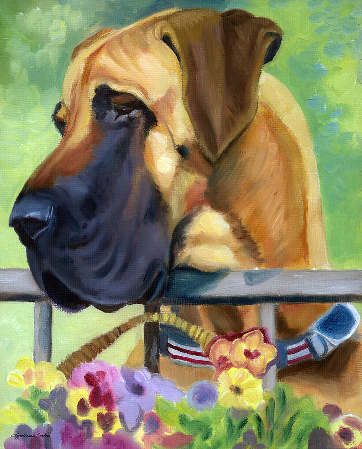 Animal Painting - Great Dane on balcony by Lyn Cook