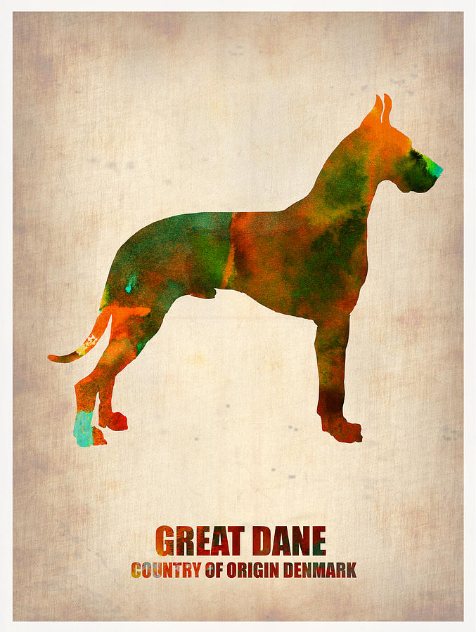 Great Dane Painting - Great Dane Poster by Naxart Studio