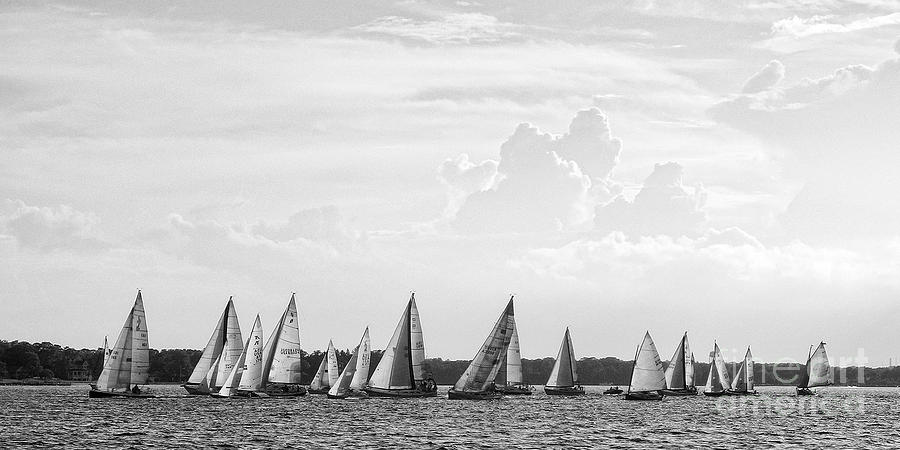 Great day for sailing Photograph by Sami Martin