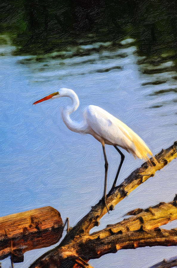 Great Egret Fishing Oil Painting Photograph by Patrick Wolf