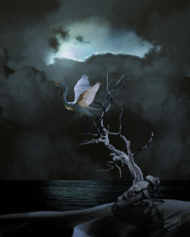 Egret Digital Art - Great Egret Under Full Moon by M Spadecaller