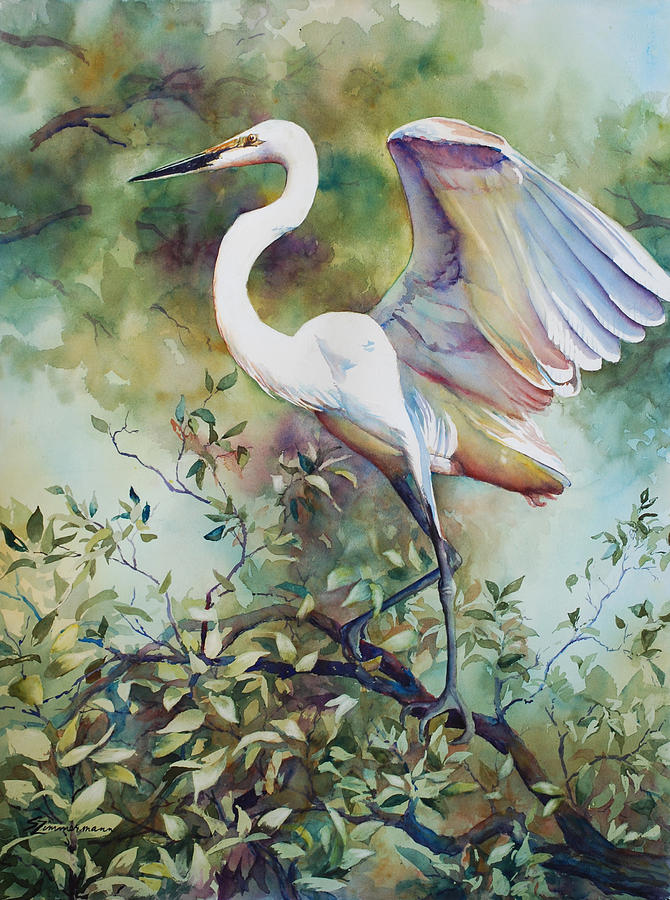 Great Egret VIII Painting by Sue Zimmermann