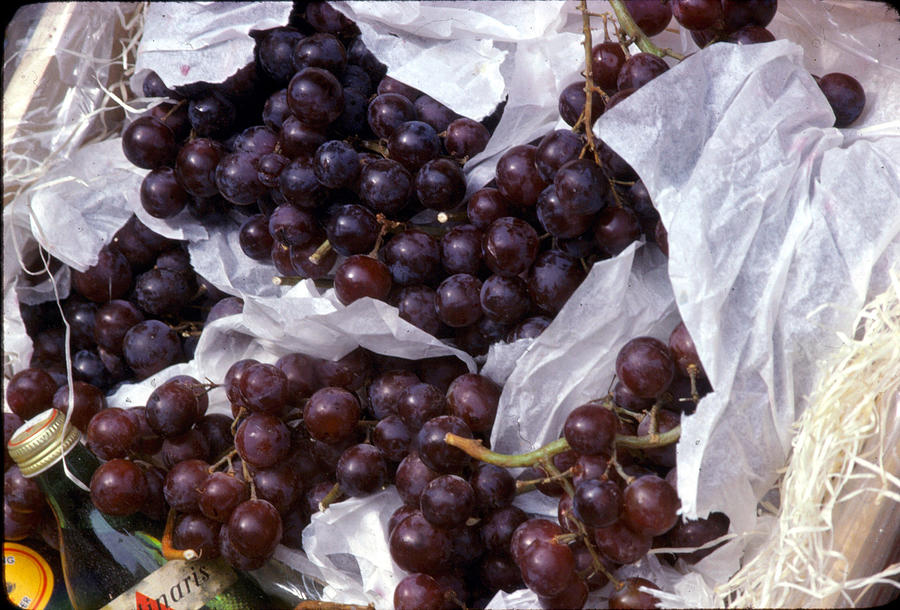 Great Grapes Photograph by Ira Shander