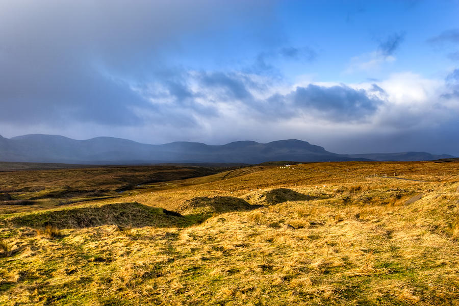 Great Grass Sea - Isle Of Skye Landscape Photograph by Mark Tisdale