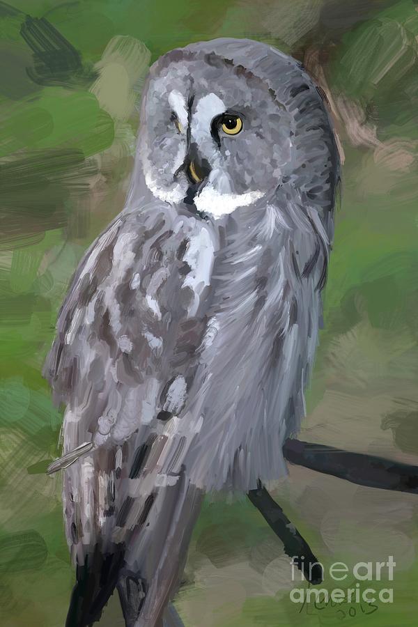 Great Grey Owl Digital Art by Jon Munson II