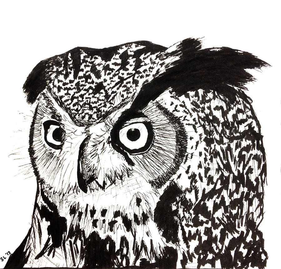 Great Horned Hooter Drawing by Jonathan Larson - Fine Art America