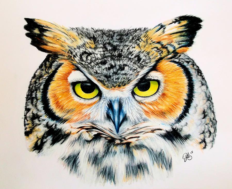 Great Horned Owl 2 Drawing by Scarlett Royal