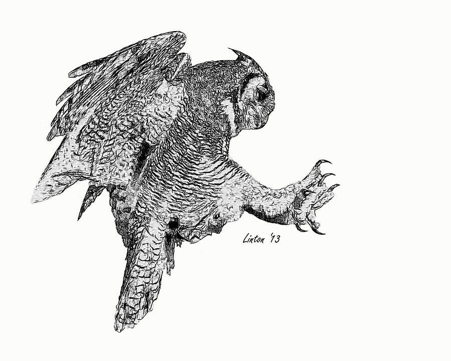 Great Horned Owl 8 Digital Art by Larry Linton