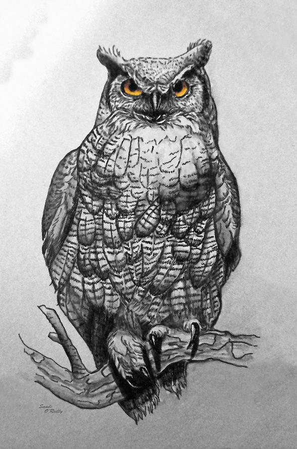Great Horned Owl Black And White