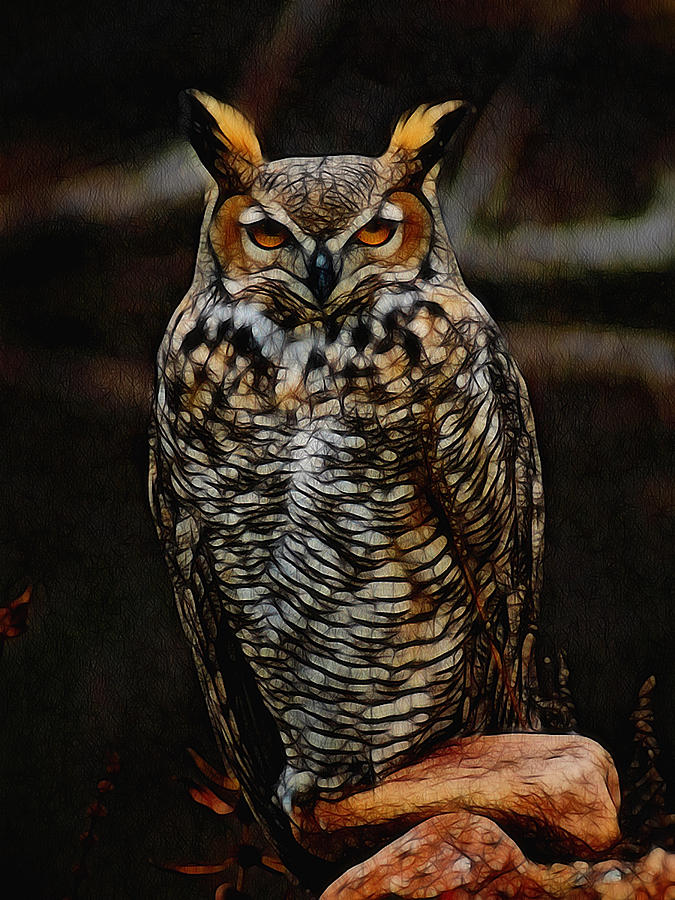 Great Horned Owl Digital Art Digital Art by Ernie Echols