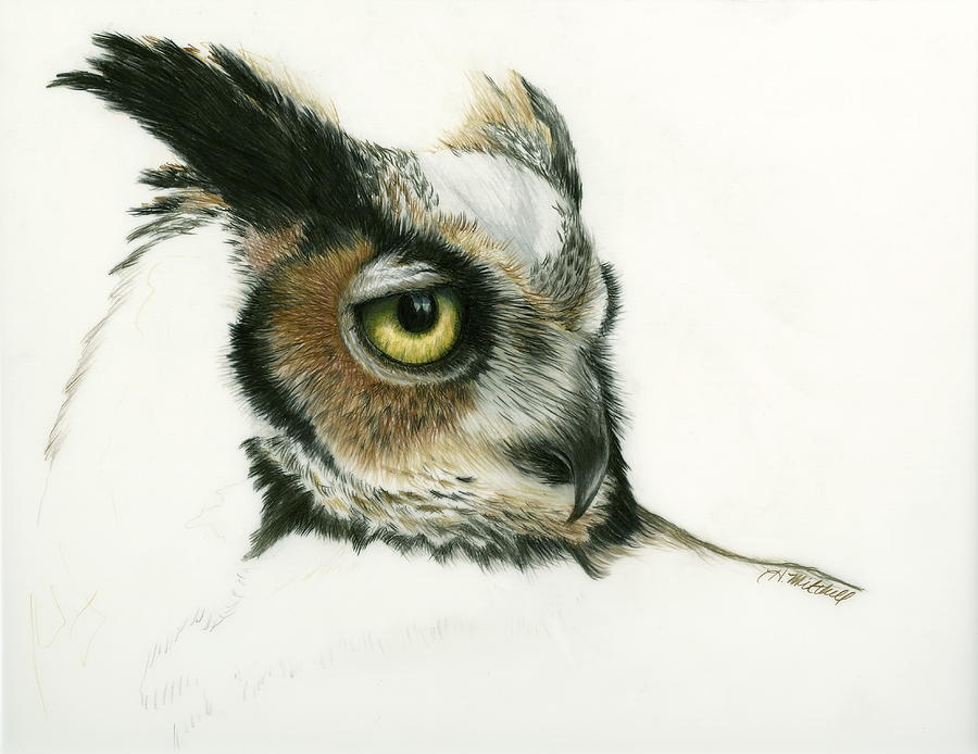 Great Horned Owl Drawing by Heather Mitchell