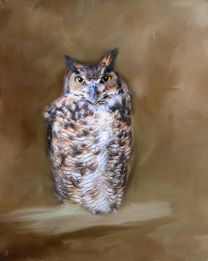 Great Horned Owl Photograph by Jai Johnson