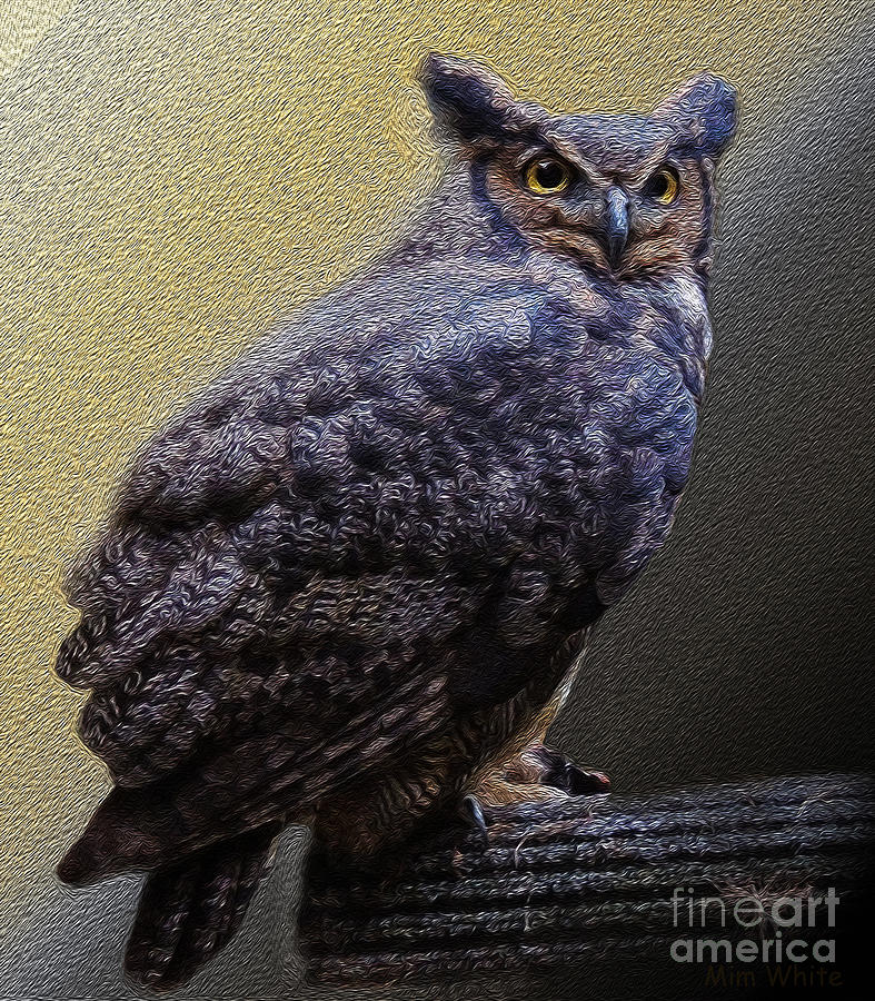 Great Horned Owl Photograph by Mim White