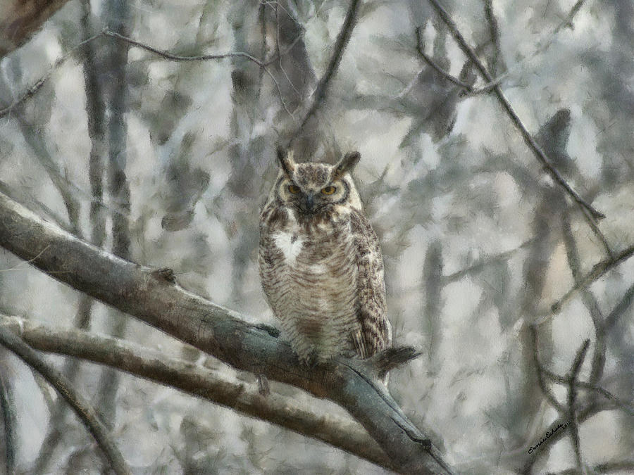 Great Horned Owl Painterly Digital Art by Ernest Echols