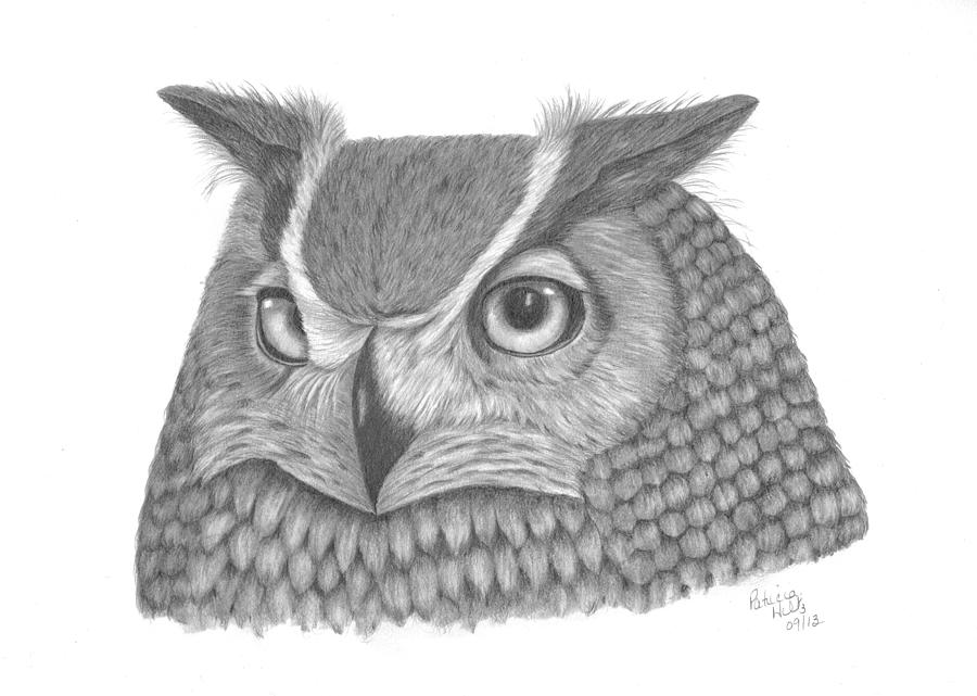 Great Horned Owl Drawing by Patricia Hiltz