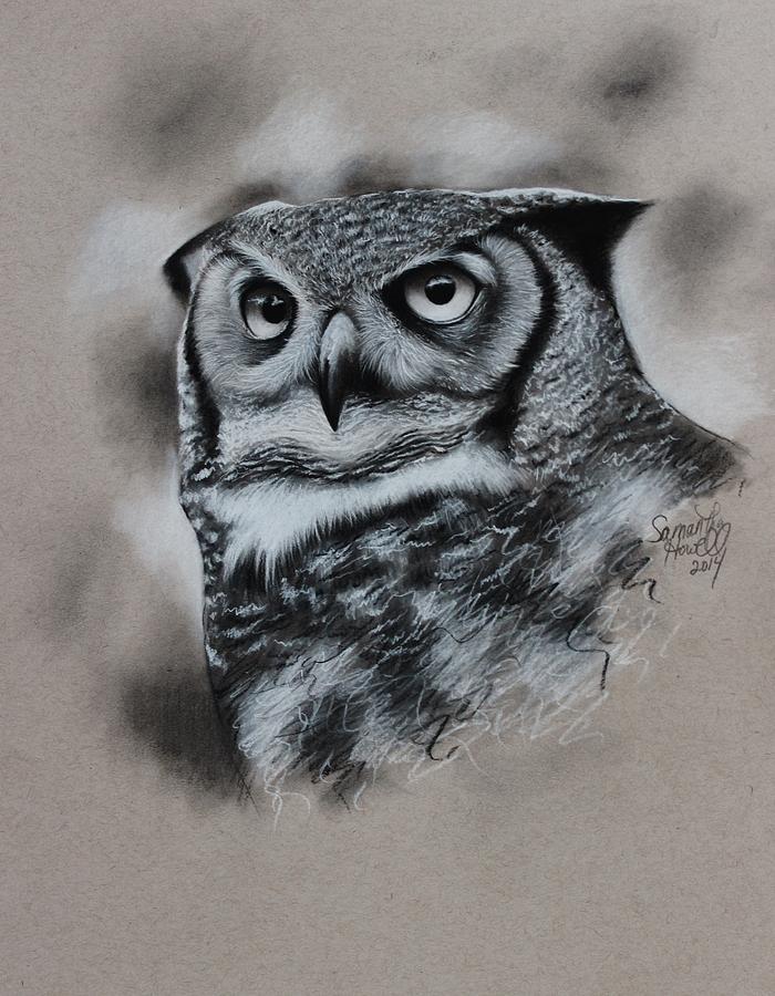 Great-Horned Owl Drawing by Samantha Howell