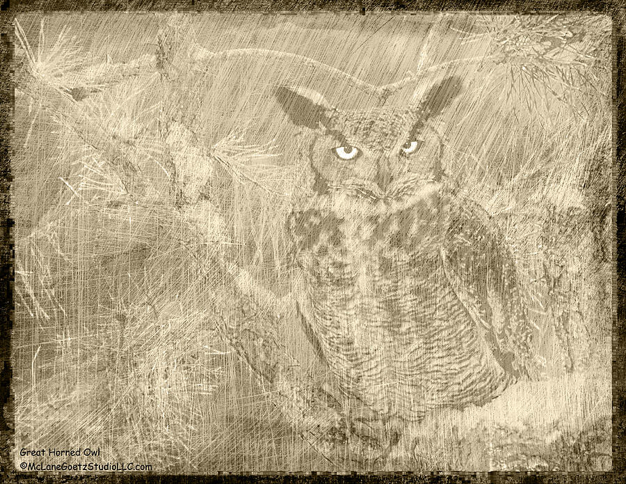Owl Photograph - Great Horned Owl Scratchings by LeeAnn McLaneGoetz McLaneGoetzStudioLLCcom
