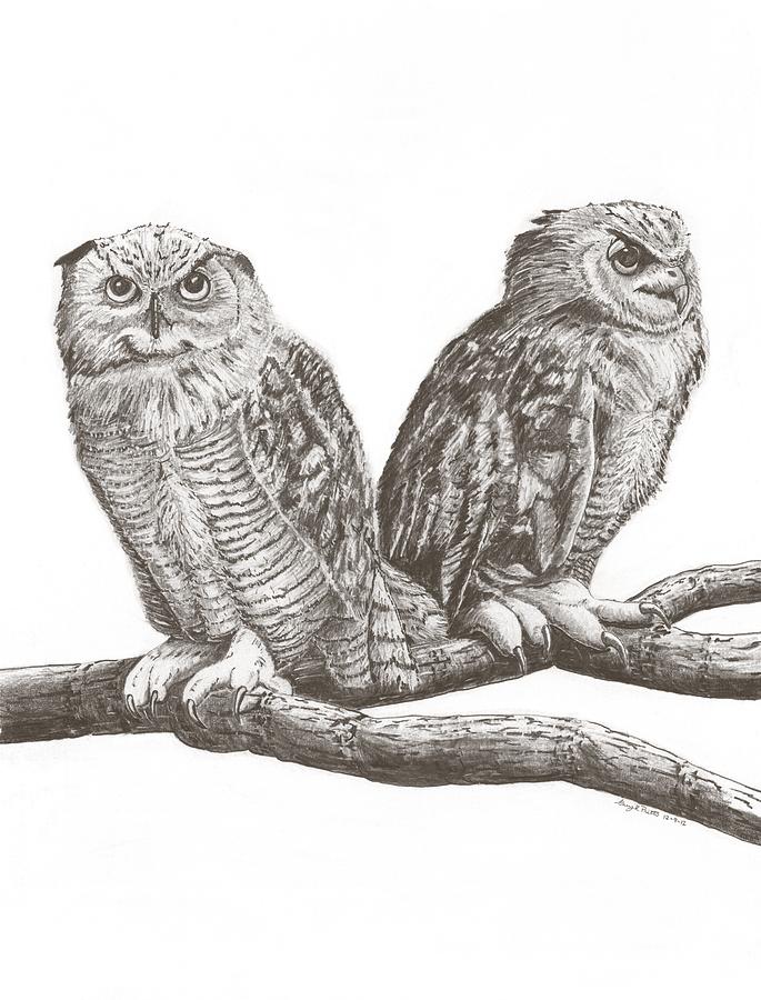 Great Horned Owls Drawing by Gary Pritts Pixels