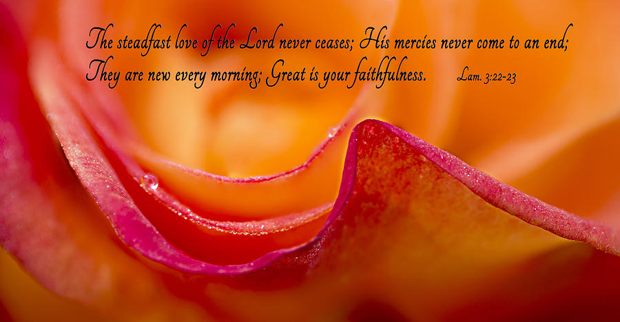 Great Is Your Faithfulness Photograph