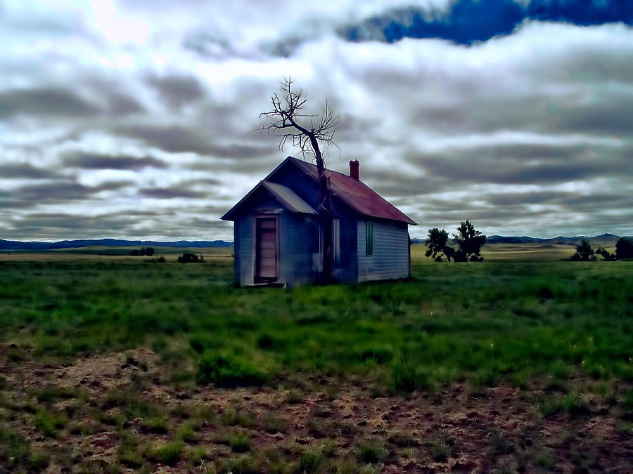 Great Plains Lonely Life Photograph by Cathy Anderson